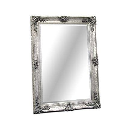 Abbey Royal Salon Mirror Silver