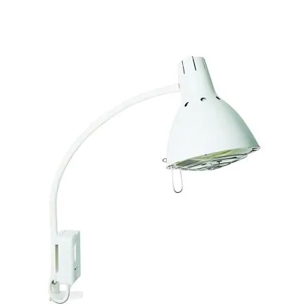 Daylight 250W Infrared Heat Lamp