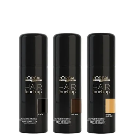 L'Oreal Professionnel Hair Touch Up Black 75ml