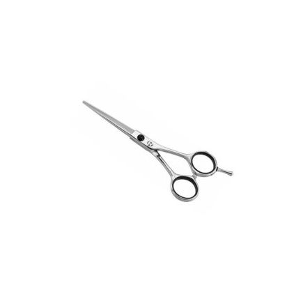 Pizzaz silver edge 5.5 inch Scissors