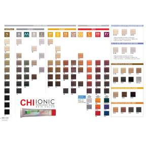CHI IONIC Permanent Shine Colour Swatch Book
