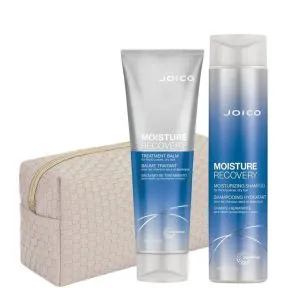 Joico Moisture Recovery Gift Set