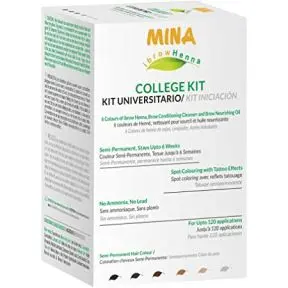 Mina Henna Brows College Mini Kit