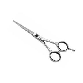 Pizzaz silver edge 5.5 inch Scissors