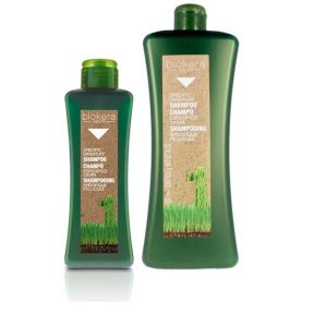 Salerm Biokera Natura Dandruff Specific Shampoo