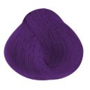 Alfaparf rEvolution Direct Hair Dye Rich Purple 90ml