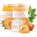 BCL Spa Mandarin & Mango Dead Sea Salt Soak 64oz