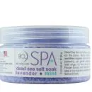 BCL Spa Lavender & Mint Dead Sea Salt Soak 3oz