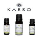 Kaeso Aromatherapy Eucalyptus Essential Oil 10ml