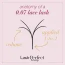 Lash Perfect Lace YY Lashes Mixed Tray