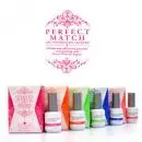 Perfect Match Gel Polish La Rosa Romantica 15ml