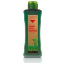 Salerm Bioker Natura Hair Loss Specific Shampoo 300ml