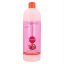 Salerm Pomegranate Shampoo 1 Litre