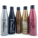 Salerm Colour Shampoo Golden Blonde 250ml