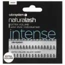 Salon Systems Extra Vol Individual Lashes Short