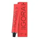 Schwarzkopf Professional Igora Royal Hair Colour 8.1 60ml