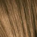Schwarzkopf Professional Igora Royal Hair Colour 7.0 60ml