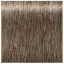 Schwarzkopf Professional Igora Royal Hair Colour 8.1 60ml