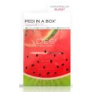 Voesh 4 Step Pedi In A Box Watermelon Burst